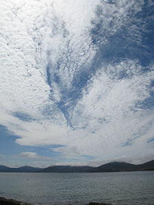 Main Point Farm,Falkland Islands