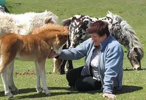 Main Point Farm,Falkland Islands