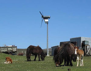 Main Point Farm,Falkland Islands