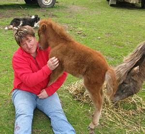 Main Point Farm,Falkland Islands