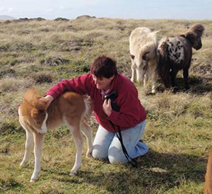 Main Point Farm,Falkland Islands