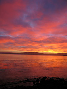 Main Point Farm,Falkland Islands