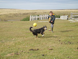 Main Point Farm,Falkland Islands